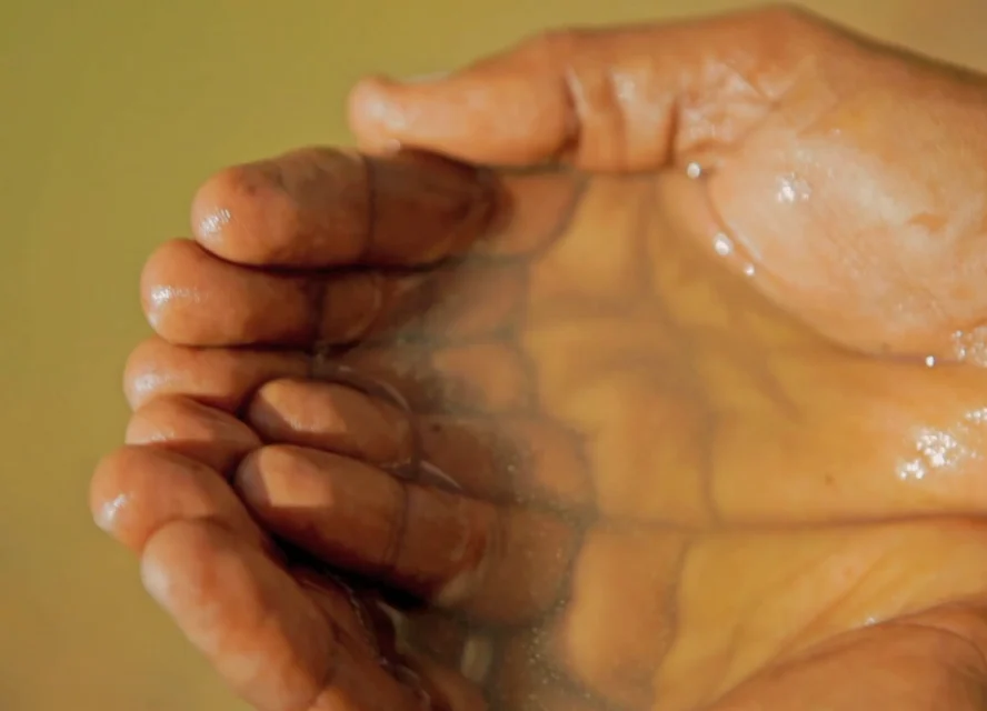 Close-up of cupped hands holding murky water, with droplets visible on the skin and a beige background.